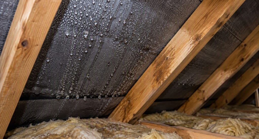 roof ventilation - condensation in a roof